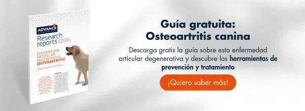 Guía Osteoartritis canina: Herramientas de prevención y tratamiento