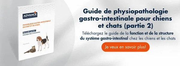 Nueva llamada a la acción