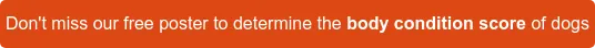 Don't miss our free poster to determine the body condition score of dogs