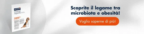 Scopri il rapporto tra microbiota e obesità! [Scarica gratis il report]