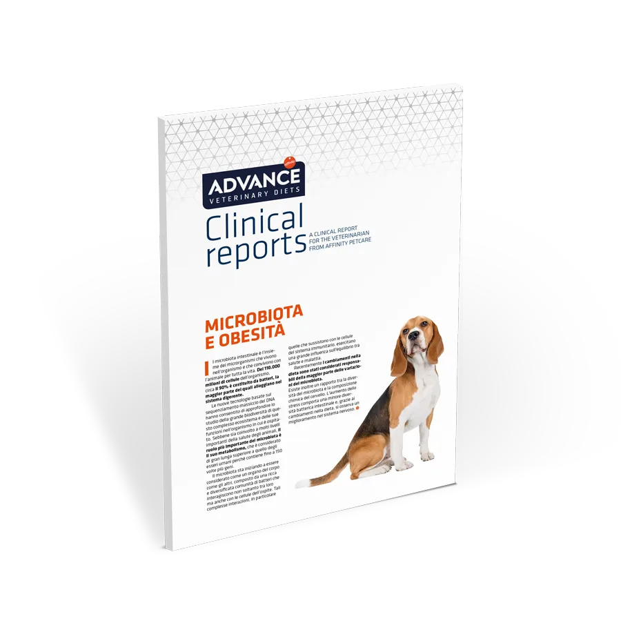 microbiota-e-obesità microbiota-e-obesità