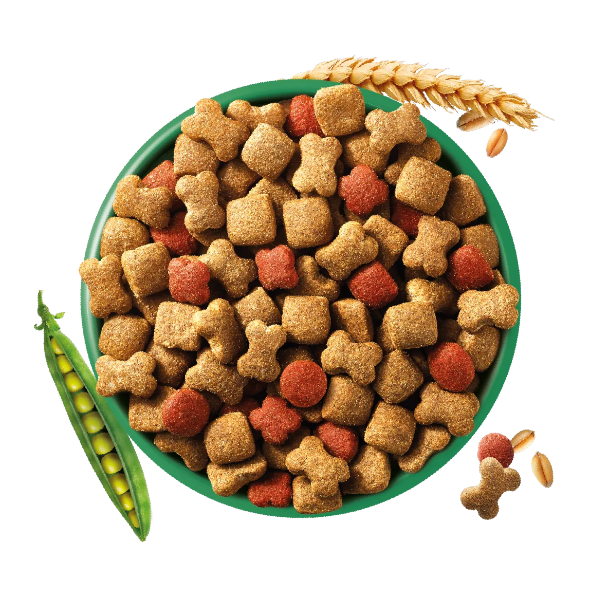 Combination of varied recipes with delicious flavours Combination of varied recipes with delicious flavours