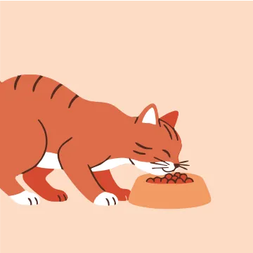 Ética y regulación Ética y regulación