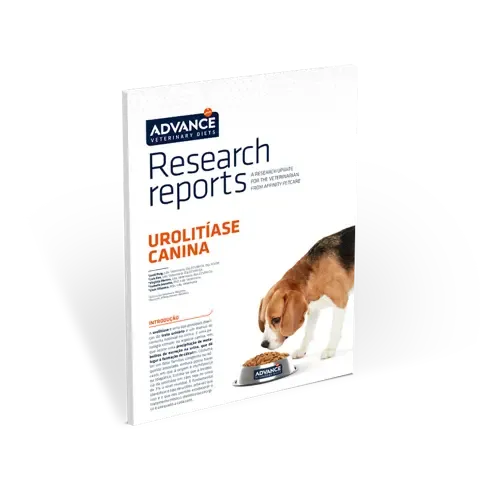 RR urolitiasis canina