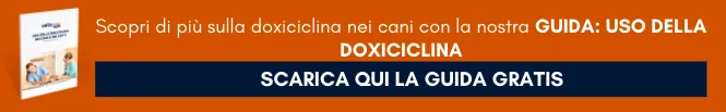 Scarica GRATUITAMENTE la guida: Uso della doxiclina in cani e gatti. Include articoli scientifici completi. Scarica GRATUITAMENTE la guida: Uso della doxiclina in cani e gatti. Include articoli scientifici completi.