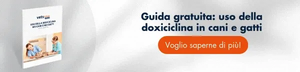 Scarica GRATUITAMENTE la guida relativa all'uso della doxiclina in cani e gatti. Include articoli scientifici completi. Scarica GRATUITAMENTE la guida relativa all'uso della doxiclina in cani e gatti. Include articoli scientifici completi.