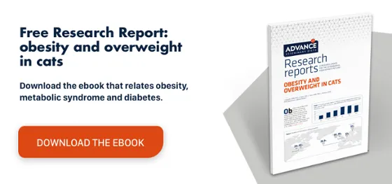 RR obesity and overweight in cats