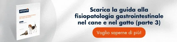 Scarica GRATIS la guida alla fisiopatologia gastrointestinale del cane e del gatto. Enteropatie croniche. Scarica GRATIS la guida alla fisiopatologia gastrointestinale del cane e del gatto. Enteropatie croniche.