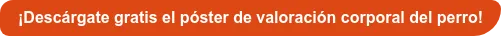 ¡Descárgate gratis el póster de valoración corporal del perro!