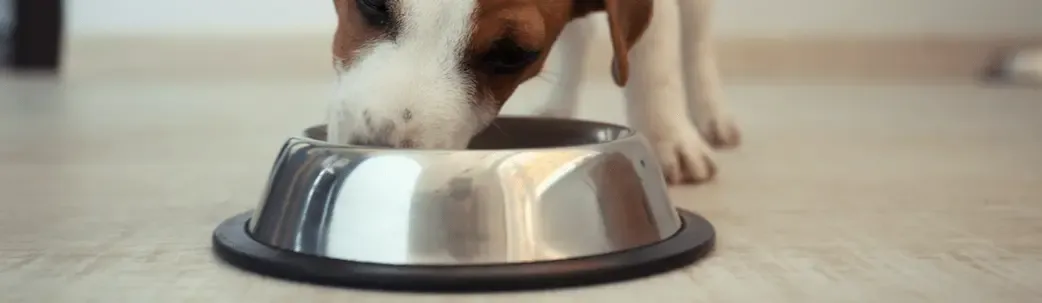 Cibo naturale per cani: Nature’s Variety