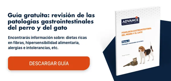 Descarga el informe: Dermatitis atópica canina Descarga el informe: Dermatitis atópica canina