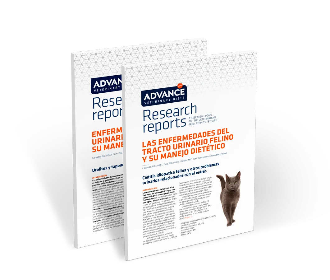 RR-urinary-feline RR-urinary-feline