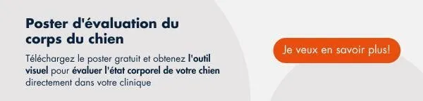 ↓Téléchargez gratuitement ici↓ Rapport: Obésité et surpoids chez les chats - Comment combattre la maladie ↓Téléchargez gratuitement ici↓ Rapport: Obésité et surpoids chez les chats - Comment combattre la maladie