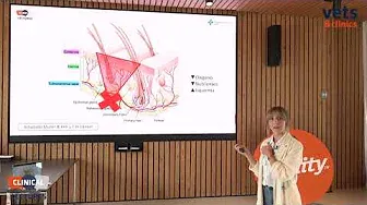 39.- C4Vets- Dermatopatia Isquemica por Núria Garcia