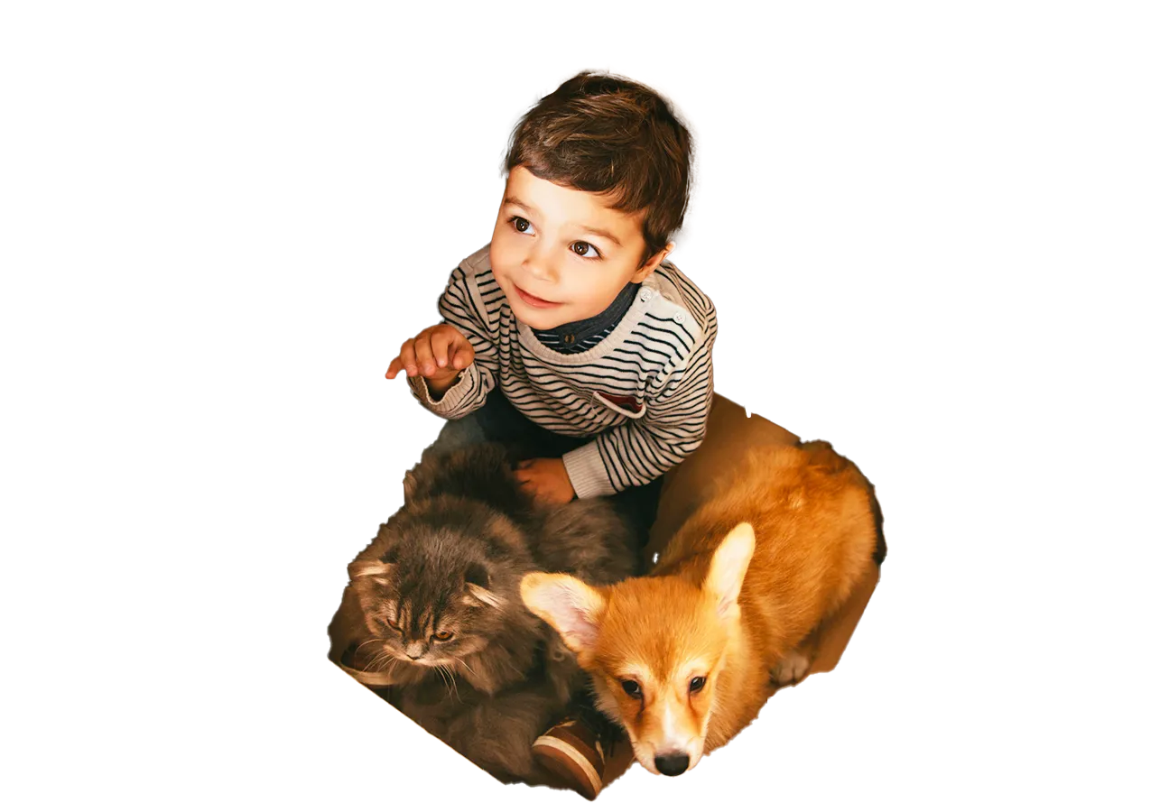 Niño en una caja de cartón con un perro y un gato Niño en una caja de cartón con un perro y un gato