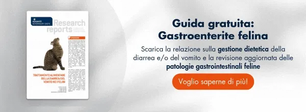 Gastro Feline Gastro Feline