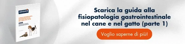 Guida Gastrointestinale