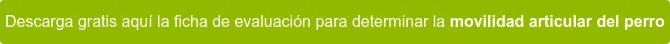 Descarga gratis aquí la ficha de evaluación para determinar la movilidad articular del perro