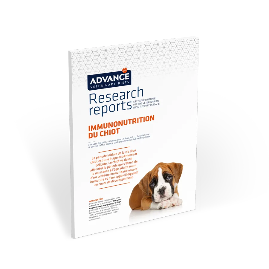 immunonutrition-du-chiot immunonutrition-du-chiot