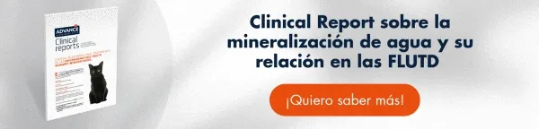Clinical Report: Línea de investigación Urinary Feline [Estudios sobre la mineralización del agua, y su relación con las FLUTD]