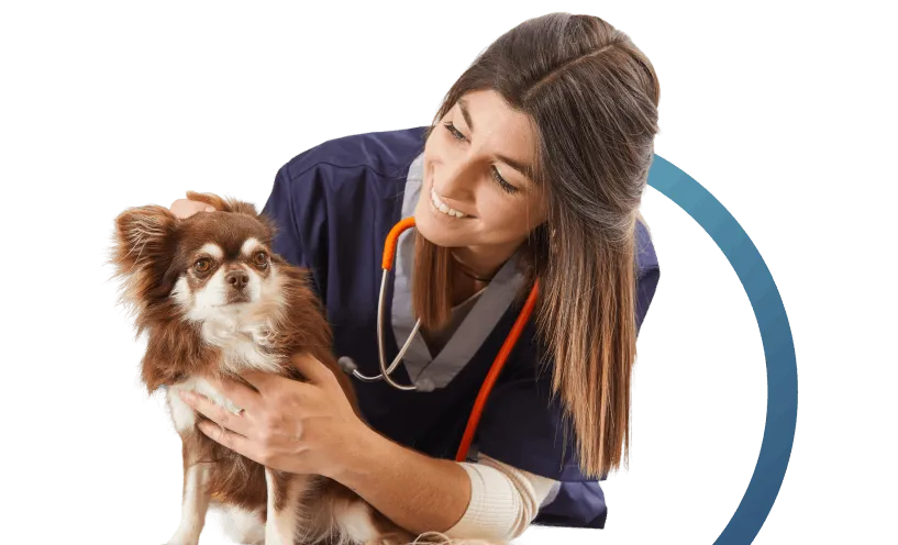 No webinars available yet