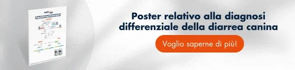 diarreas caninas diarreas caninas