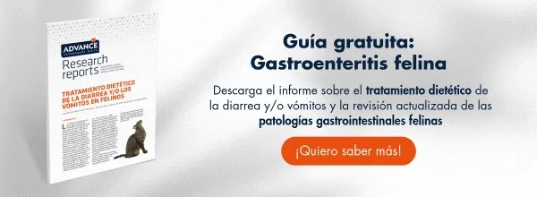 Descarga los requerimientos nutricionales para gatos esterelizados