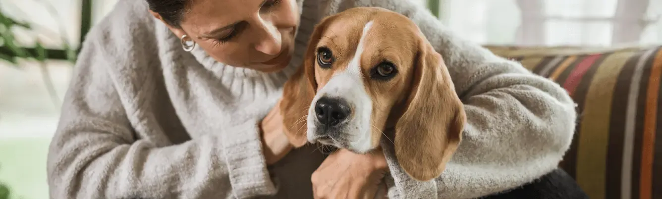 Gastritis en perros y su relación con helicobacter