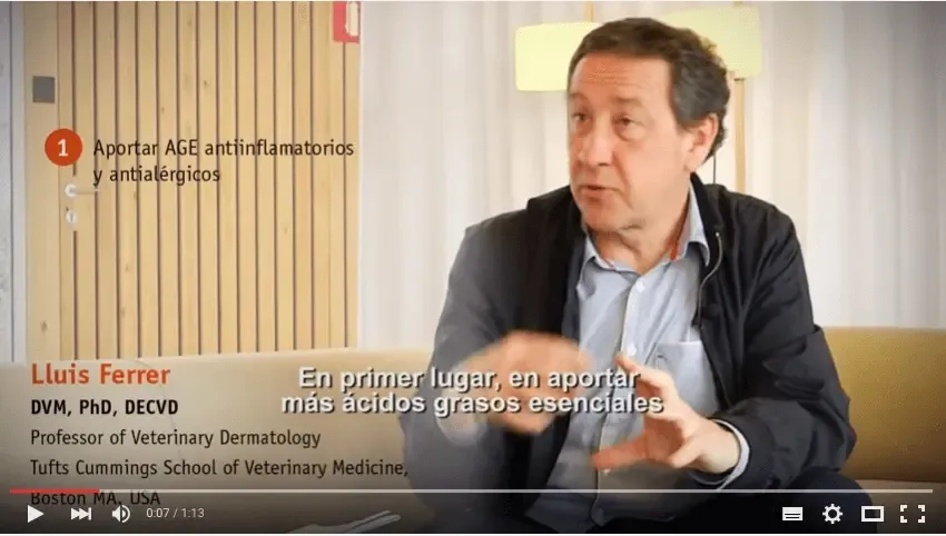 Alimento hipoalergénico para cão: apenas como dieta de exclusão?