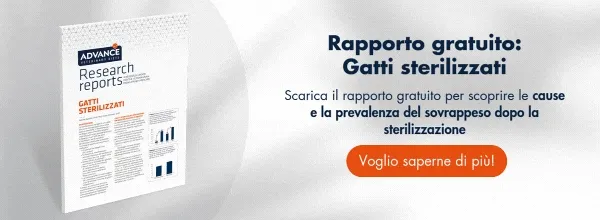 Nuevo llamado a la acción Nuevo llamado a la acción