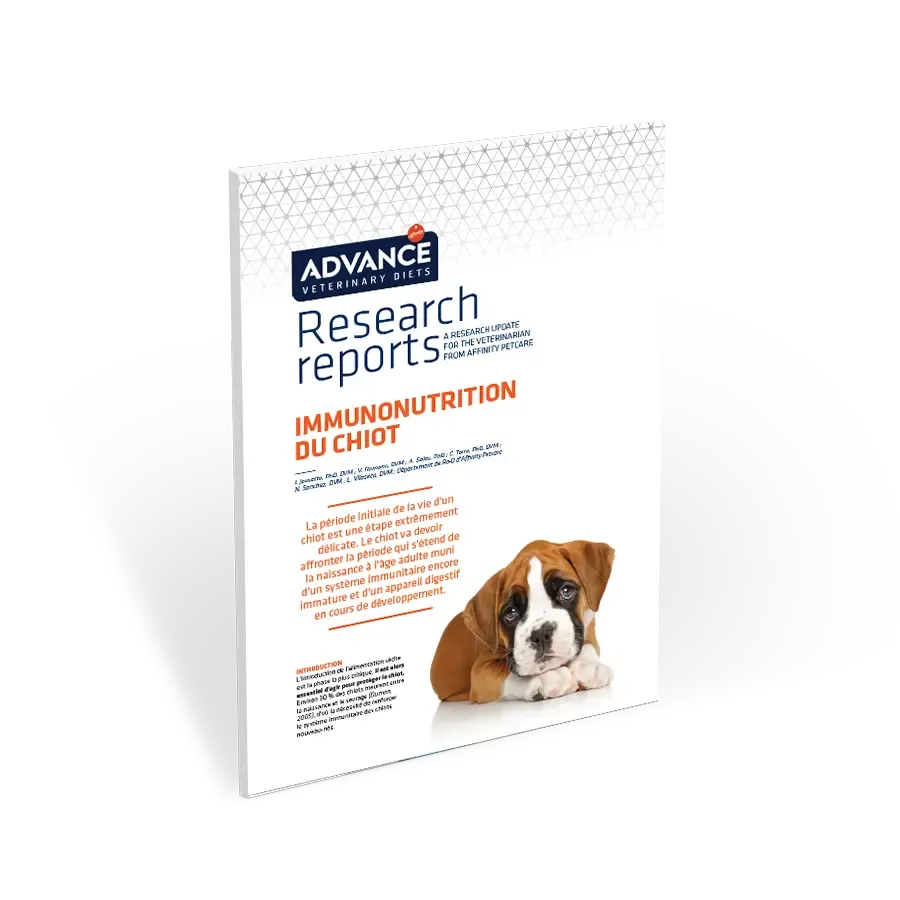 Reserch Report: Immunonutrition du chiot