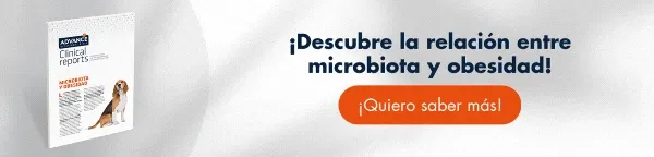 Descubre la relación entre microbiota y obesidad ? [Descarga gratis el Clinical Report Microbiota y Obesidad]