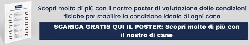 Consulta GRATIS il poster di valutazione delle condizioni fisiche per stabilire la condizione ideale di ogni cane