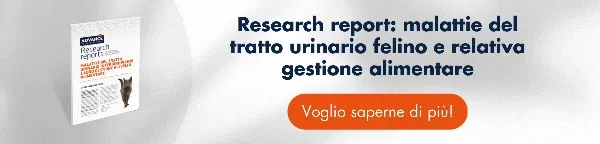 [Scarica gratis] la prima parte del Research Report sulle Malattie del tratto urinario felino per accedere a informazioni sistematiche e aggiornante sulle cause della fluid e sulla sua gestione alimentare.