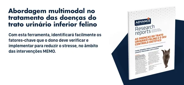 Descarregue GRATUITAMENTE → Clinical Tool: Abordagem multimodal no tratamento das doenças do trato urinário inferior felino. Descarregue GRATUITAMENTE → Clinical Tool: Abordagem multimodal no tratamento das doenças do trato urinário inferior felino.