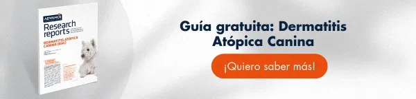 Clinical report - Dermatitis atópica canina