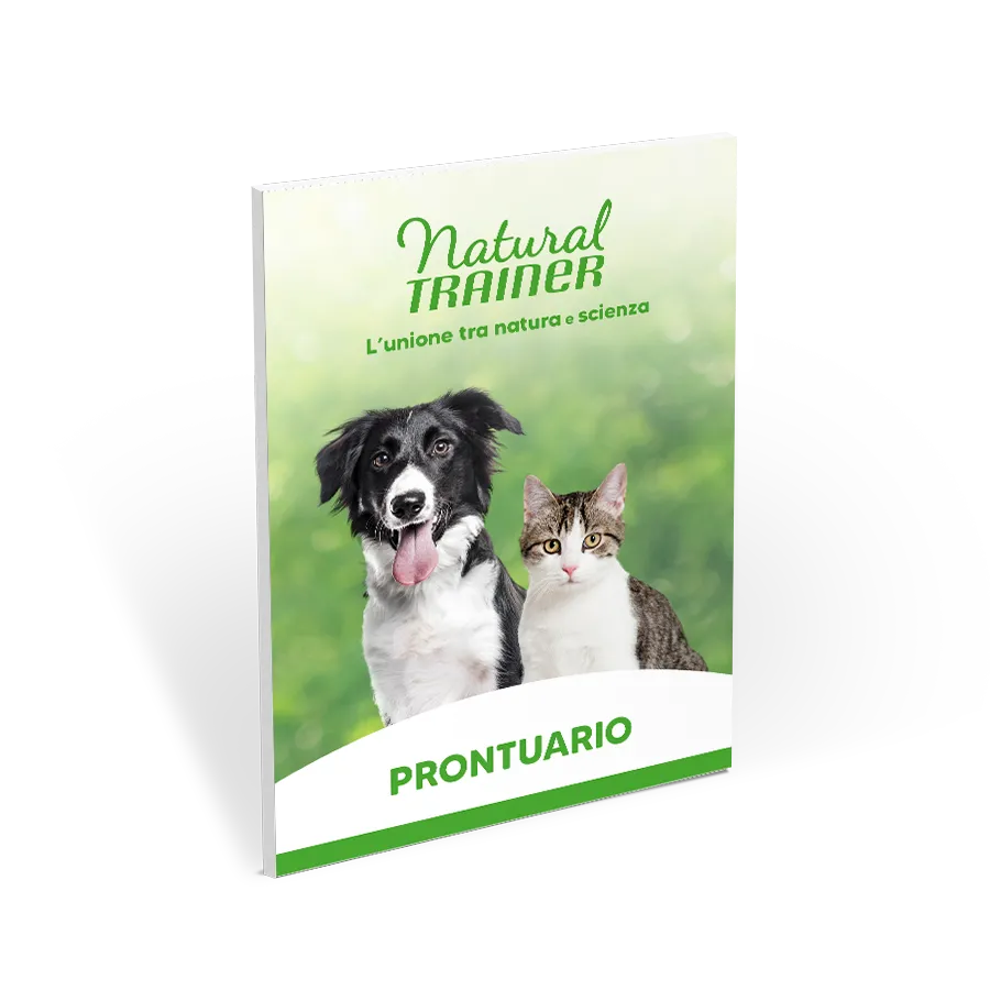 Miniatura ebook NAT