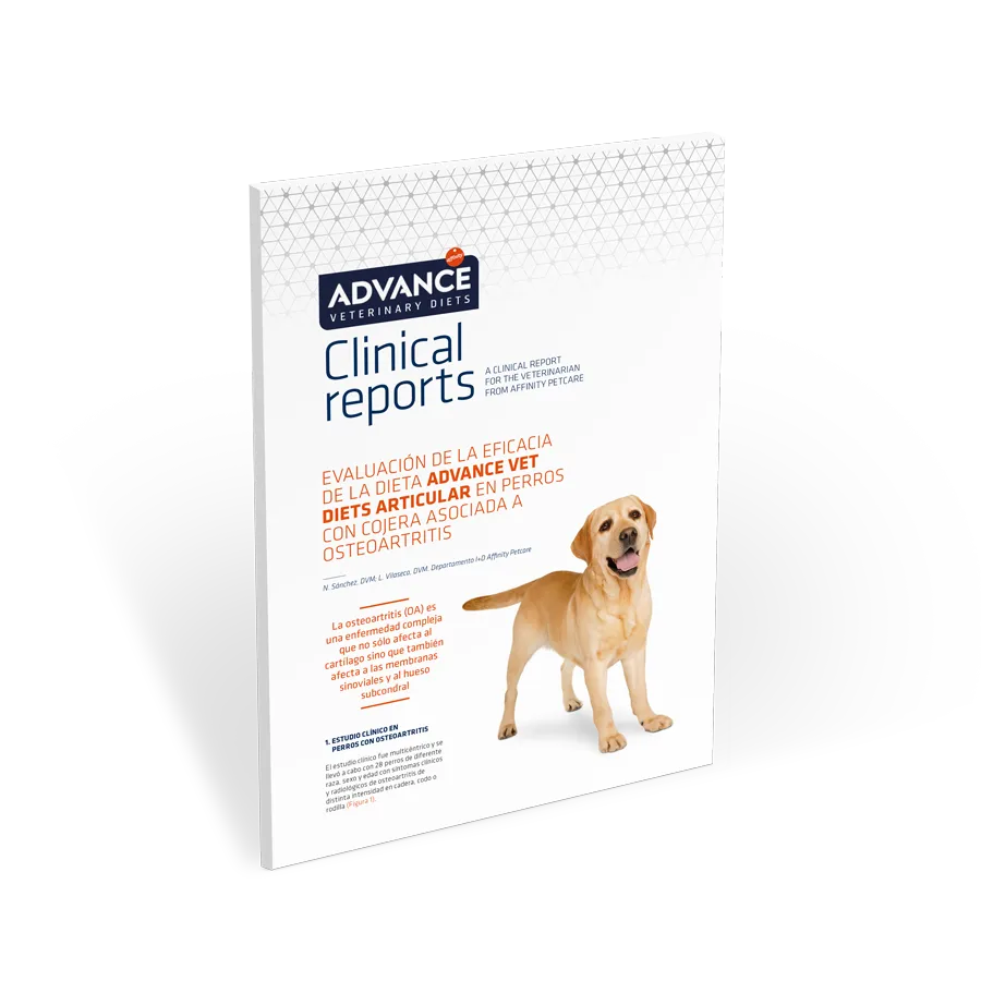 CR-osteoarticular-perros CR-osteoarticular-perros