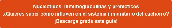 Informe: Inmunonutrición en cachorros - Cómo potenciar su sistema inmunitario Informe: Inmunonutrición en cachorros - Cómo potenciar su sistema inmunitario