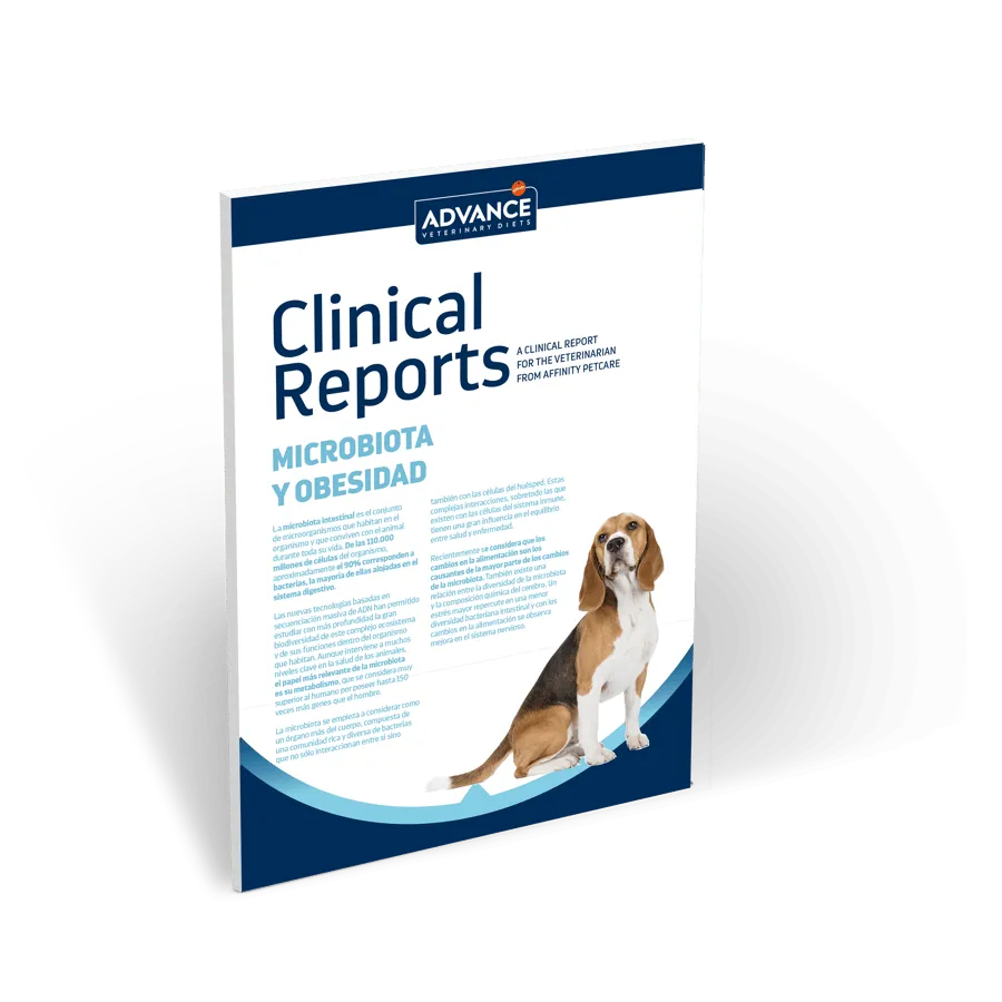 microbiota-y-obesidad microbiota-y-obesidad