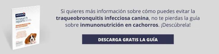 Guía inmunonutrición en cachorros Guía inmunonutrición en cachorros