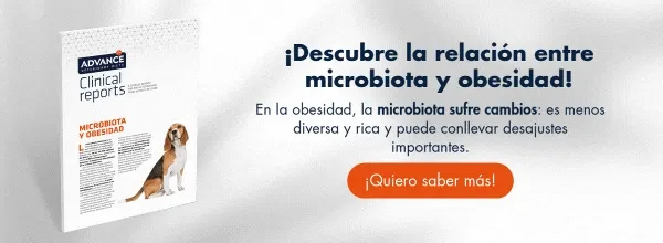 New Call-to-action New Call-to-action