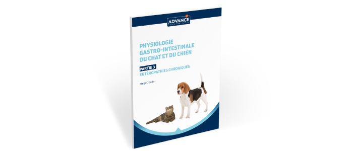 puff sigarette elettroniche Problemi gastrointestinali del cane: tutto quello che devi sapere main image 1