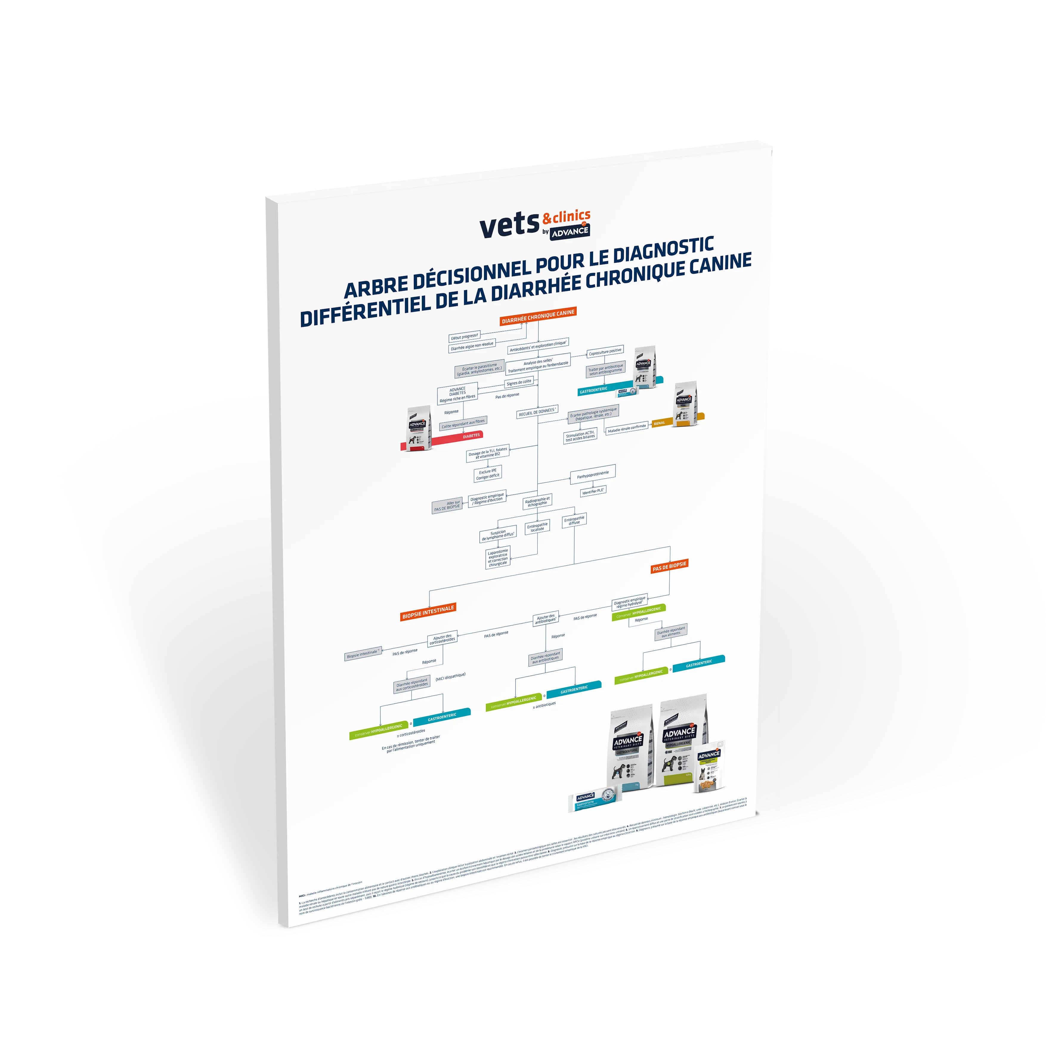 arbre-décisionnel-diagnostic-différentiel-diarrhée-chronique-canine arbre-décisionnel-diagnostic-différentiel-diarrhée-chronique-canine