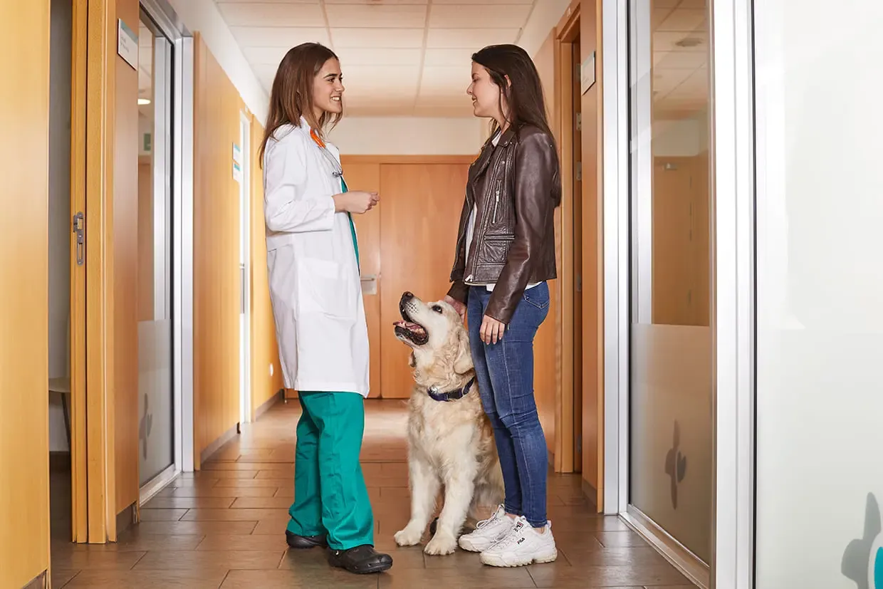 Nutritional Advisor: a service to help select the ideal food for each pet