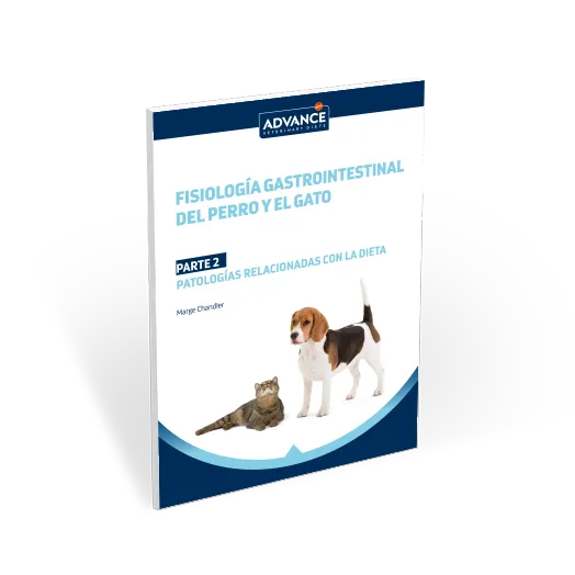 guia-gastrointestinal-parte2 guia-gastrointestinal-parte2