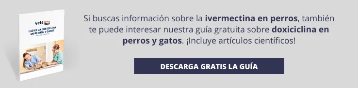Nueva llamada a la acción Nueva llamada a la acción
