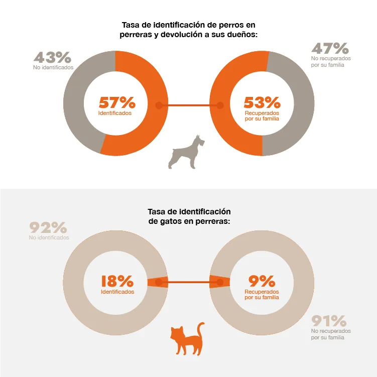 Estadísticas de identificación y devolución a sus familias de perros y gatos en Francia