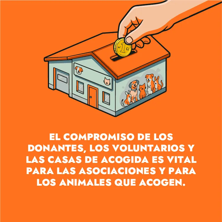 compromiso donantes compromiso donantes