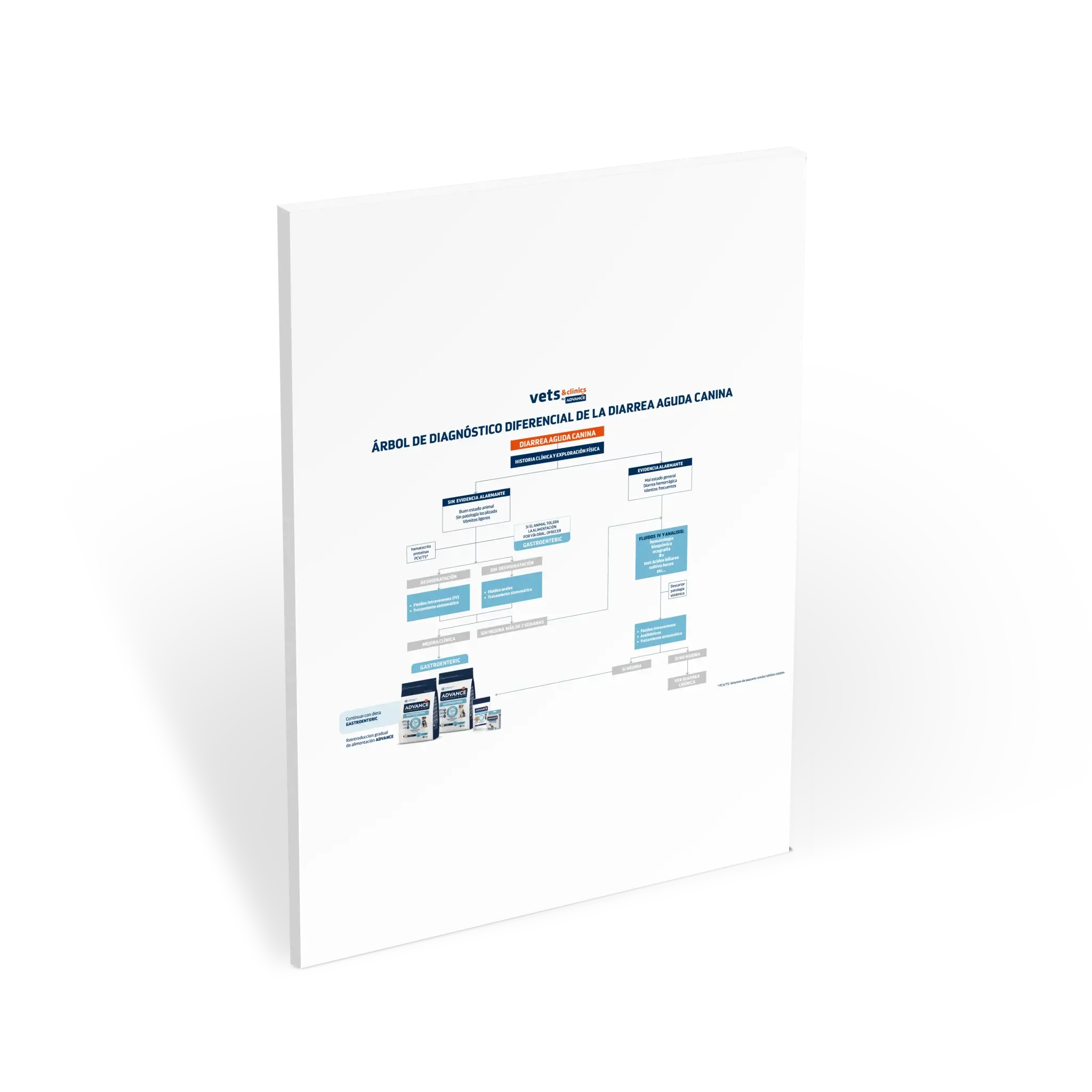 Poster del diagnóstico diferencial de la diarrea aguda canina Poster del diagnóstico diferencial de la diarrea aguda canina